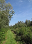 SX24064 Jenni in Biesbosch.jpg